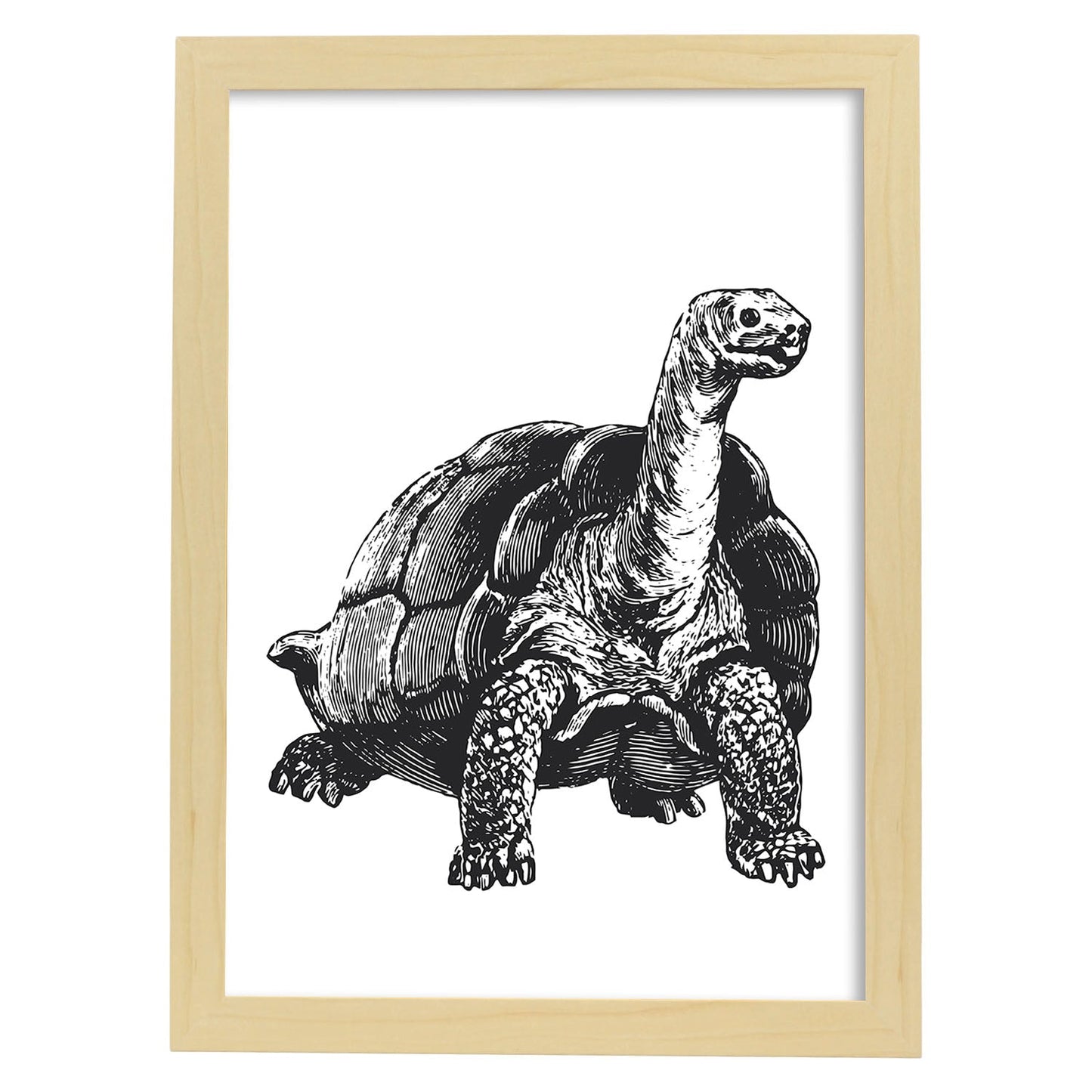 Lámina de Tortuga. Posters con animales en blanco y negro.-Artwork-Nacnic-A3-Marco Madera clara-Nacnic Estudio SL