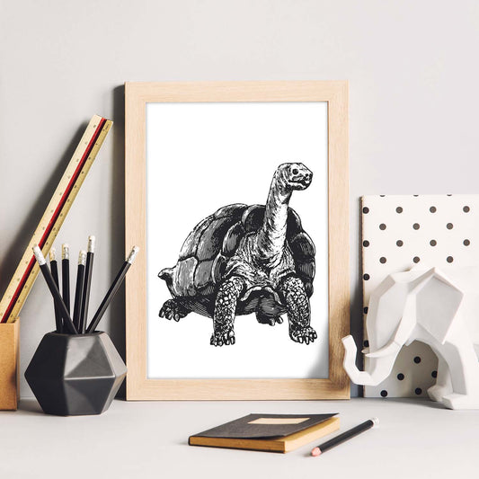 Lámina de Tortuga. Posters con animales en blanco y negro.-Artwork-Nacnic-Nacnic Estudio SL