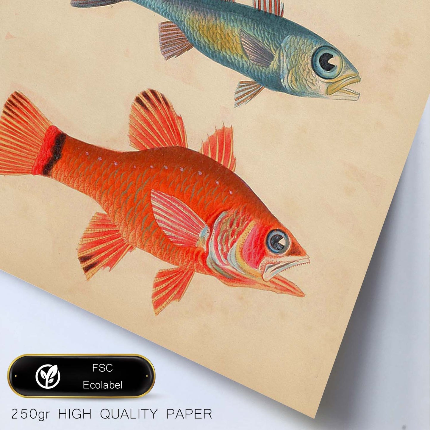 Lámina de tres peces amariilo y marron azul y rojo en , fondo papel vintage.-Artwork-Nacnic-Nacnic Estudio SL