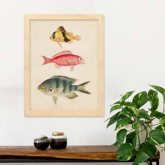 Lámina de tres peces amarillo y marron rojo, rosa, y azul y gris en , fondo papel vintage.-Artwork-Nacnic-Nacnic Estudio SL