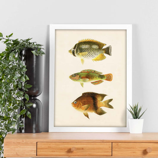 Lámina de tres peces naranja, amarillo y marron en , fondo papel vintage.-Artwork-Nacnic-Nacnic Estudio SL