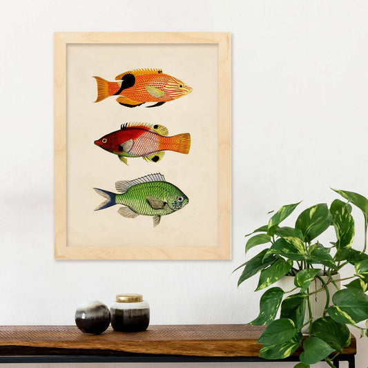 Lámina de tres peces naranja, negro rojo, verde en , fondo papel vintage.-Artwork-Nacnic-Nacnic Estudio SL