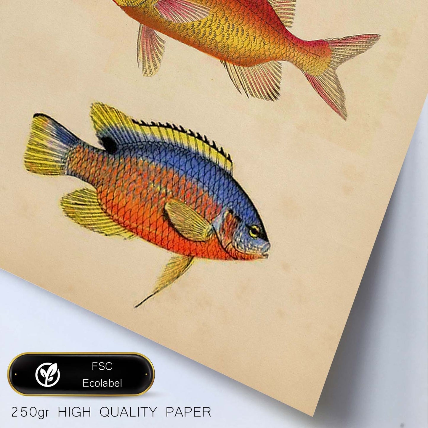 Lámina de tres peces naranjas, azules y amarillos en , fondo papel vintage.-Artwork-Nacnic-Nacnic Estudio SL