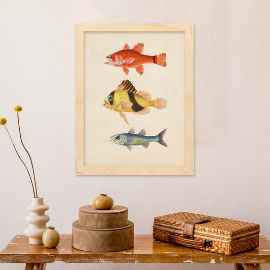 Lámina de tres peces rojo, amarillo, marron y azul en , fondo papel vintage.-Artwork-Nacnic-Nacnic Estudio SL