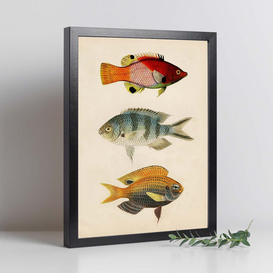 Lámina de tres peces rojo, azul, gris, naranja en , fondo papel vintage.-Artwork-Nacnic-Nacnic Estudio SL