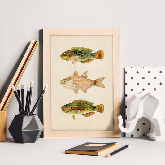 Lámina de tres peces verdes marron en , fondo papel vintage.-Artwork-Nacnic-Nacnic Estudio SL