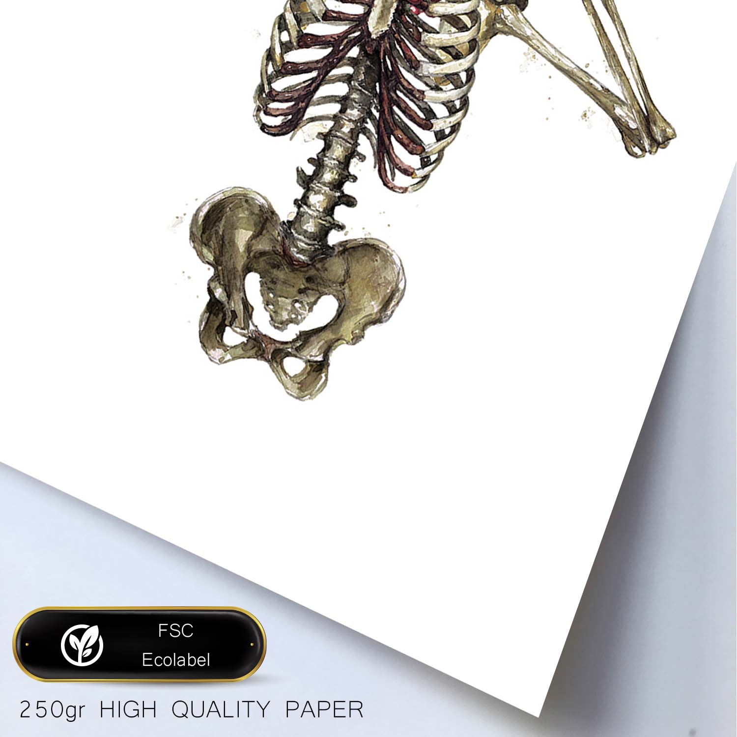 Lámina Esqueleto Chica con Flores. Posters con imágenes de Calaveras.-Artwork-Nacnic-Nacnic Estudio SL