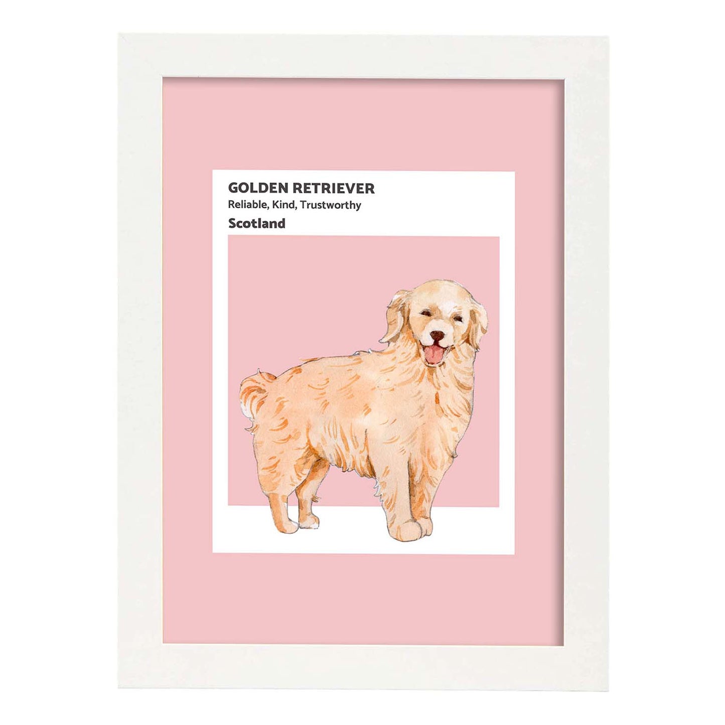 Lámina Golden Retriever. Pósters con ilustraciones de razas de perro en tonos cálidos y pastel.-Artwork-Nacnic-A3-Marco Blanco-Nacnic Estudio SL