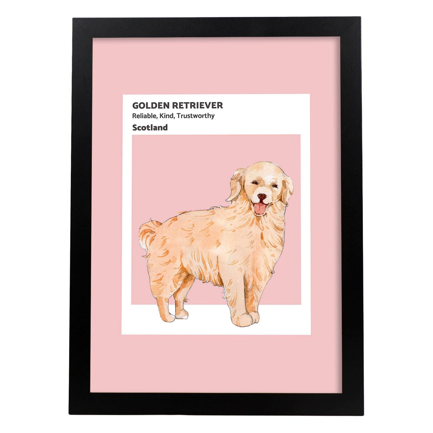 Lámina Golden Retriever. Pósters con ilustraciones de razas de perro en tonos cálidos y pastel.-Artwork-Nacnic-A4-Marco Negro-Nacnic Estudio SL