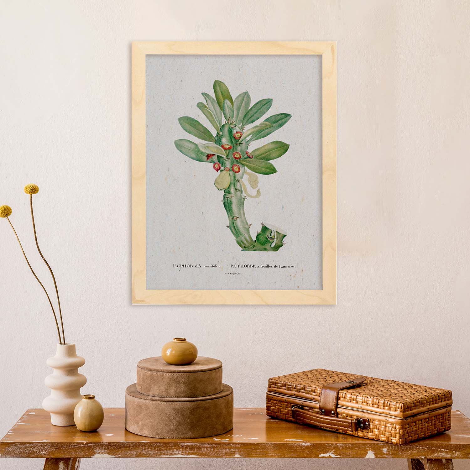 Lámina Naturaleza - 001. Pósters con ilustraciones en acuarela de Pierre-Joseph Redouté.-Artwork-Nacnic-Nacnic Estudio SL