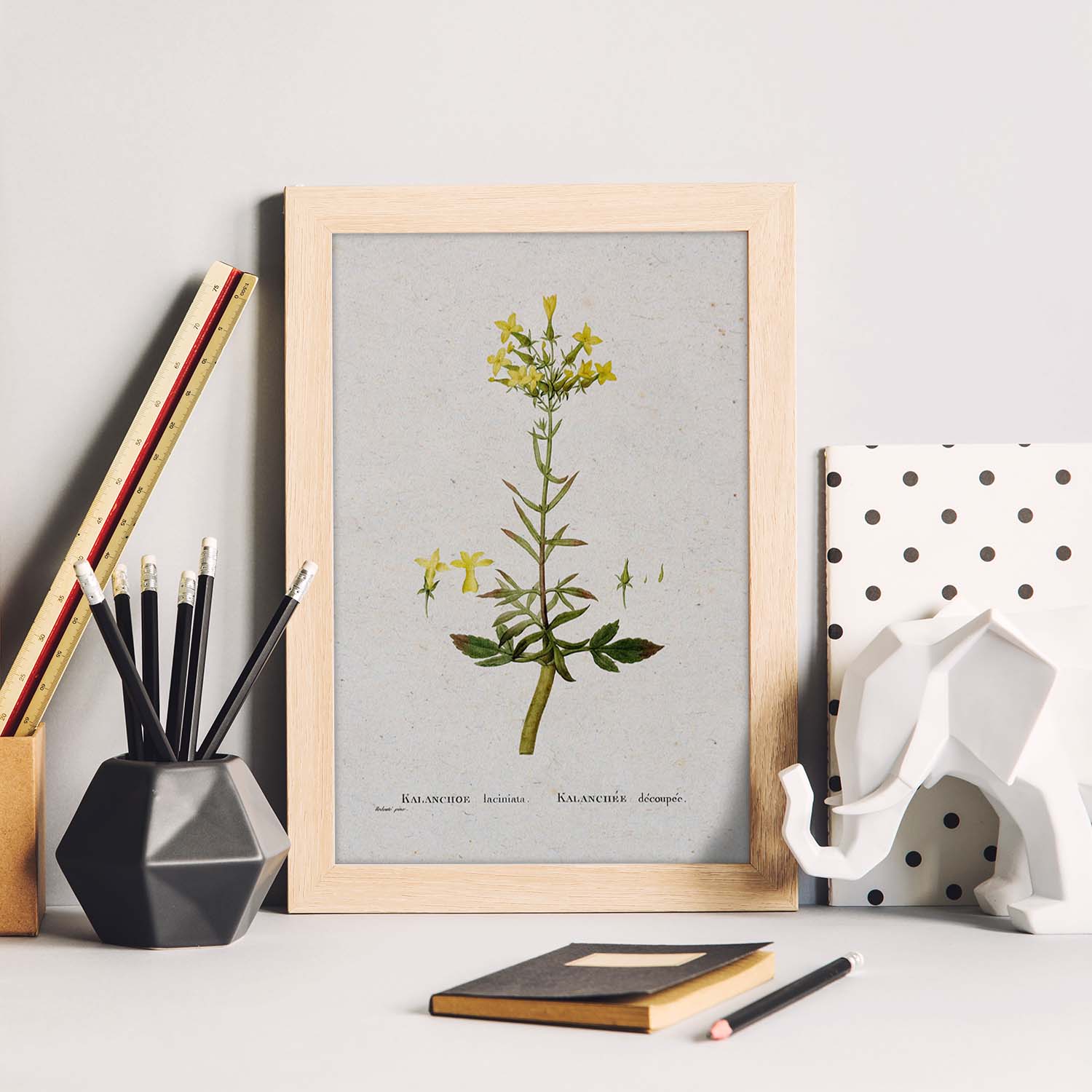 Lámina Naturaleza - 067. Pósters con ilustraciones en acuarela de Pierre-Joseph Redouté.-Artwork-Nacnic-Nacnic Estudio SL