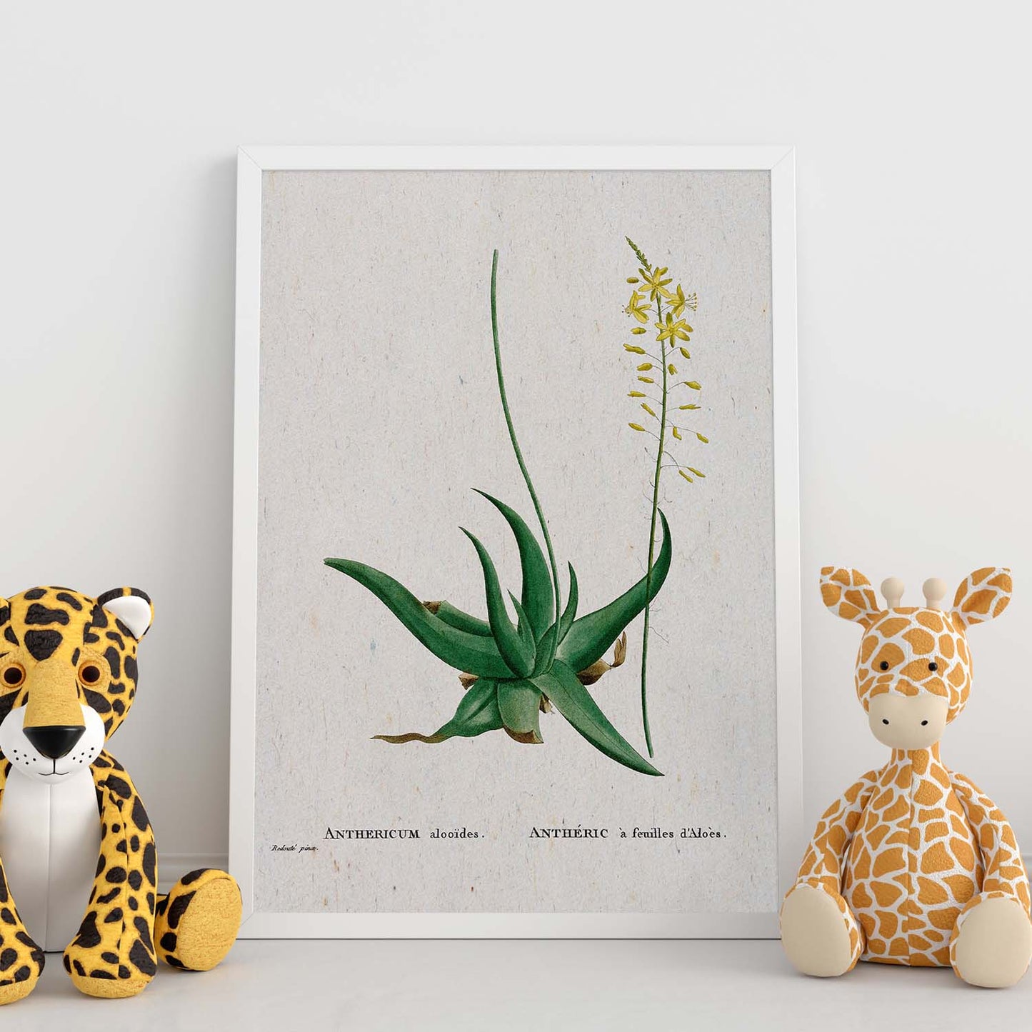 Lámina Naturaleza - 104. Pósters con ilustraciones en acuarela de Pierre-Joseph Redouté.-Artwork-Nacnic-Nacnic Estudio SL