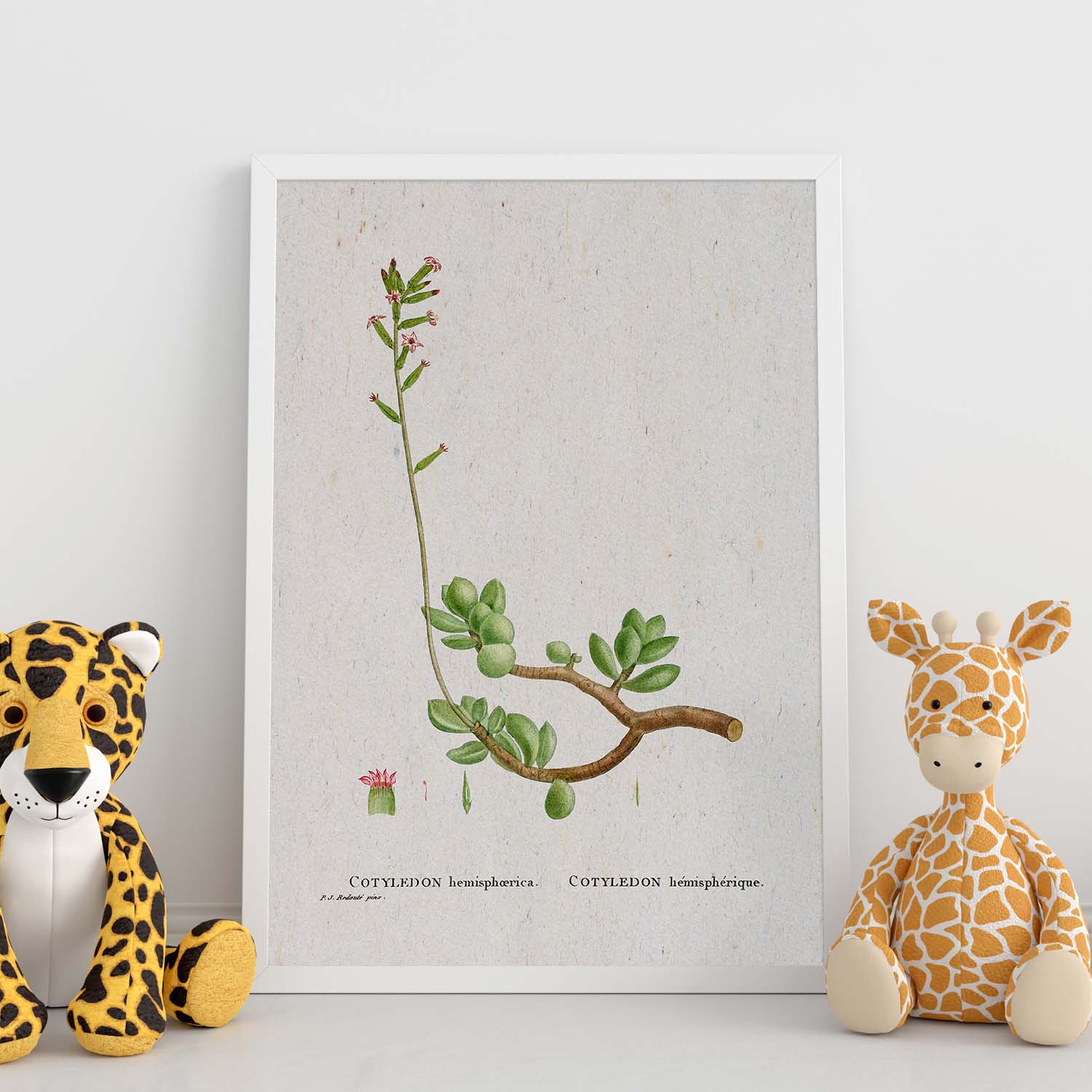 Lámina Naturaleza - 110. Pósters con ilustraciones en acuarela de Pierre-Joseph Redouté.-Artwork-Nacnic-Nacnic Estudio SL