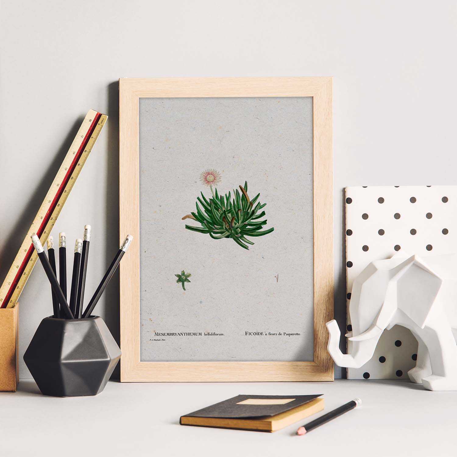 Lámina Naturaleza - 111. Pósters con ilustraciones en acuarela de Pierre-Joseph Redouté.-Artwork-Nacnic-Nacnic Estudio SL