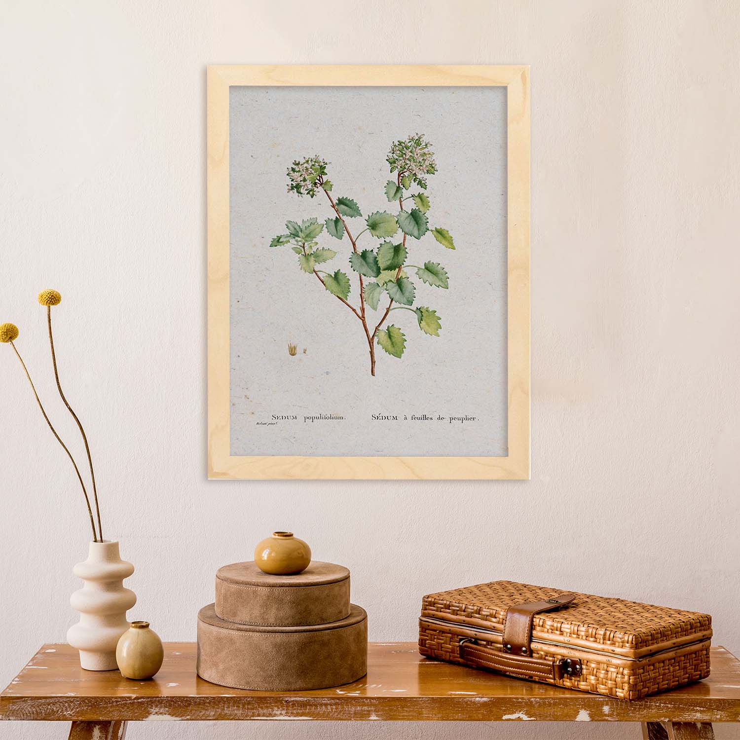 Lámina Naturaleza - 127. Pósters con ilustraciones en acuarela de Pierre-Joseph Redouté.-Artwork-Nacnic-Nacnic Estudio SL