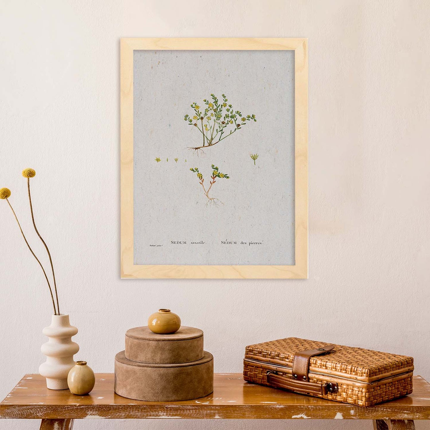 Lámina Naturaleza - 130. Pósters con ilustraciones en acuarela de Pierre-Joseph Redouté.-Artwork-Nacnic-Nacnic Estudio SL