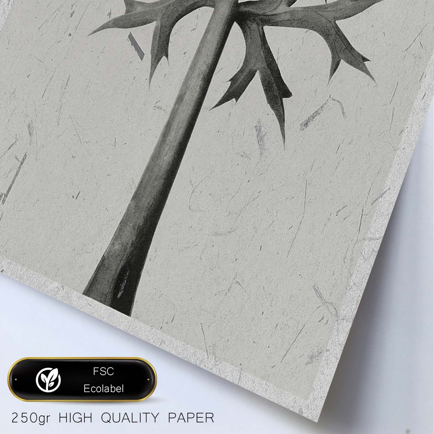 Lámina Planta blanco y negro 03. Pósters con ilustraciones de flores y plantas en tonos grises.-Artwork-Nacnic-Nacnic Estudio SL