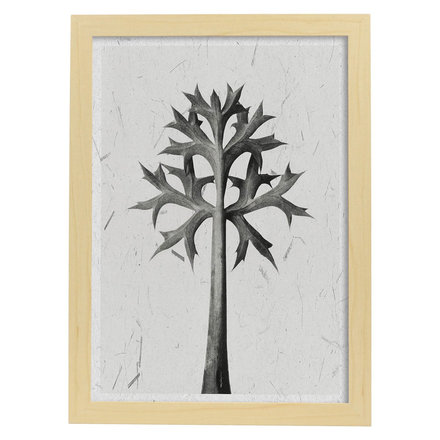 Lámina Planta blanco y negro 03. Pósters con ilustraciones de flores y plantas en tonos grises.-Artwork-Nacnic-A4-Marco Madera clara-Nacnic Estudio SL