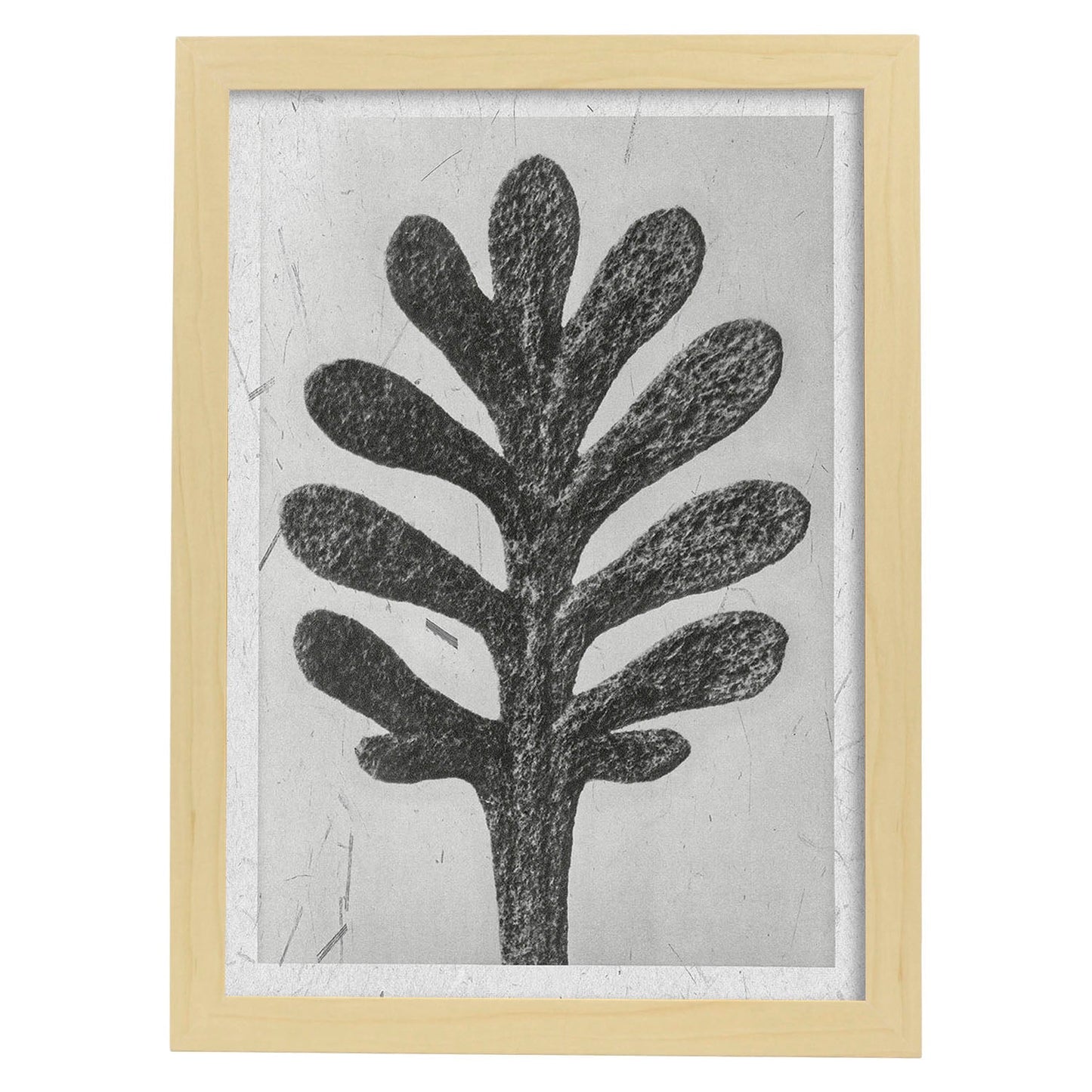 Lámina Planta blanco y negro 11. Pósters con ilustraciones de flores y plantas en tonos grises.-Artwork-Nacnic-A4-Marco Madera clara-Nacnic Estudio SL