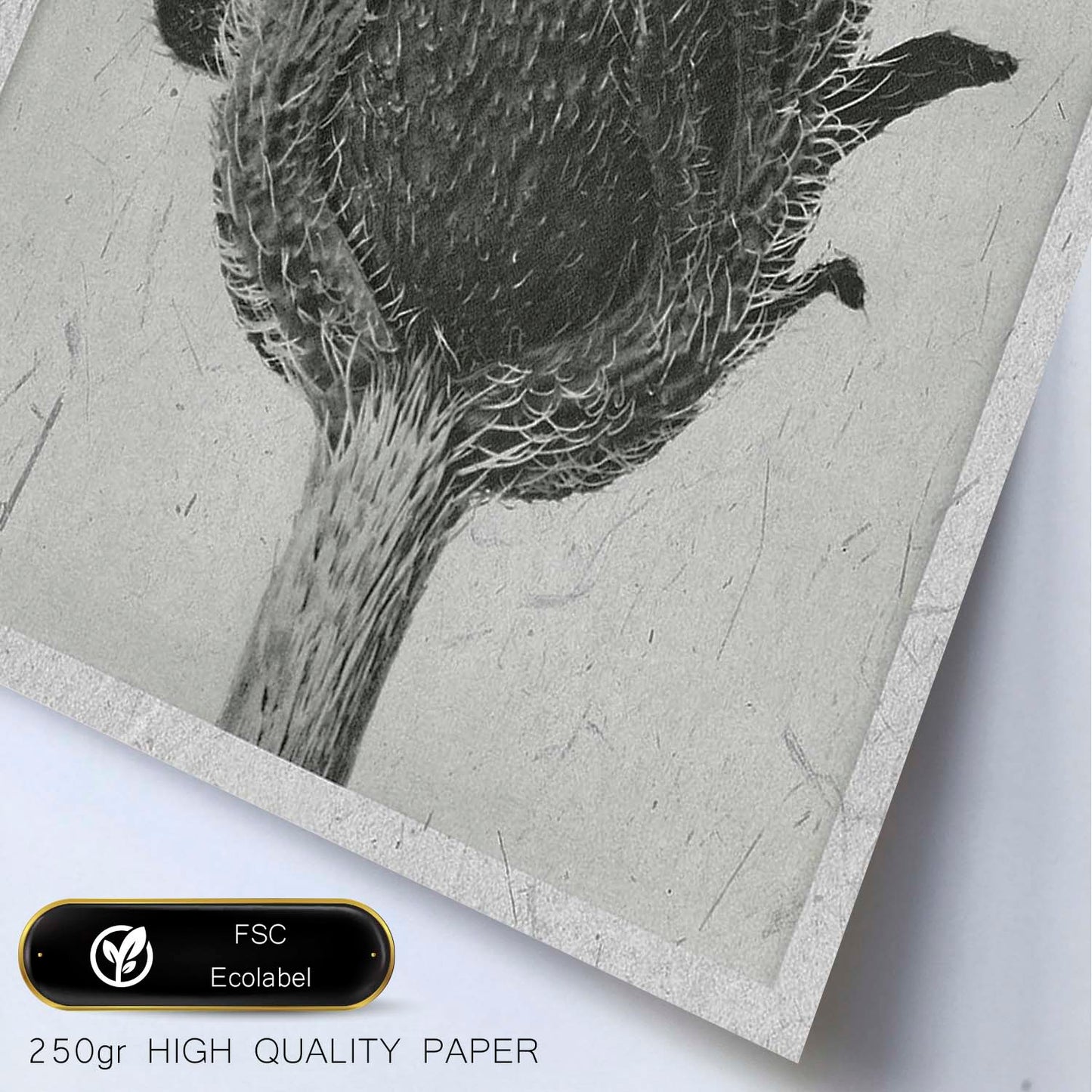 Lámina Planta blanco y negro 12. Pósters con ilustraciones de flores y plantas en tonos grises.-Artwork-Nacnic-Nacnic Estudio SL