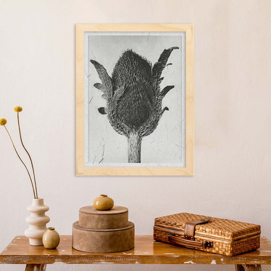 Lámina Planta blanco y negro 12. Pósters con ilustraciones de flores y plantas en tonos grises.-Artwork-Nacnic-Nacnic Estudio SL