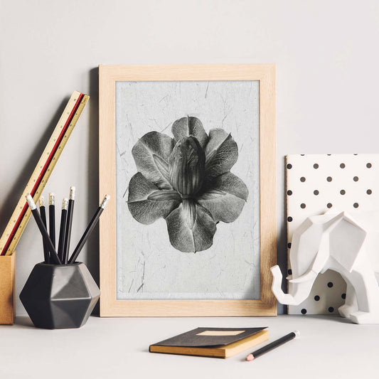 Lámina Planta blanco y negro 13. Pósters con ilustraciones de flores y plantas en tonos grises.-Artwork-Nacnic-Nacnic Estudio SL