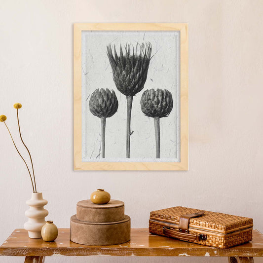 Lámina Planta blanco y negro 18. Pósters con ilustraciones de flores y plantas en tonos grises.-Artwork-Nacnic-Nacnic Estudio SL