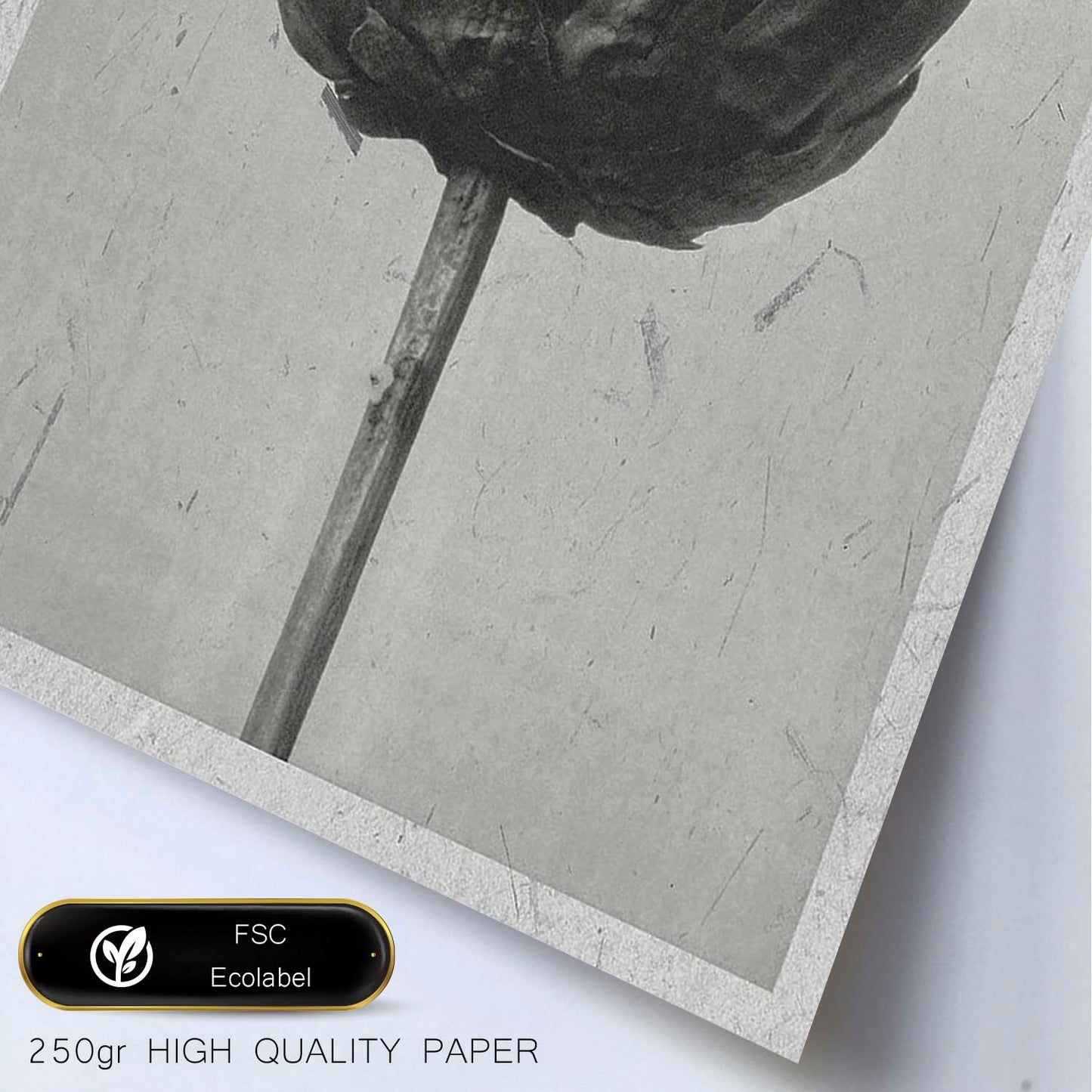 Lámina Planta blanco y negro 19. Pósters con ilustraciones de flores y plantas en tonos grises.-Artwork-Nacnic-Nacnic Estudio SL