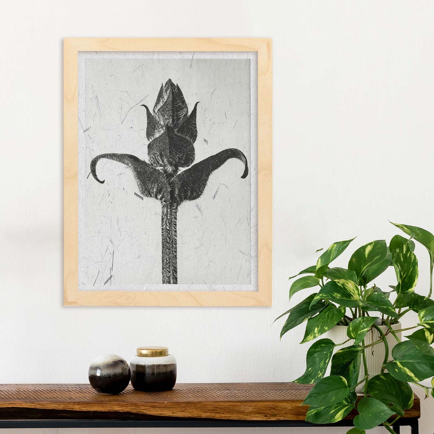 Lámina Planta blanco y negro 20. Pósters con ilustraciones de flores y plantas en tonos grises.-Artwork-Nacnic-Nacnic Estudio SL