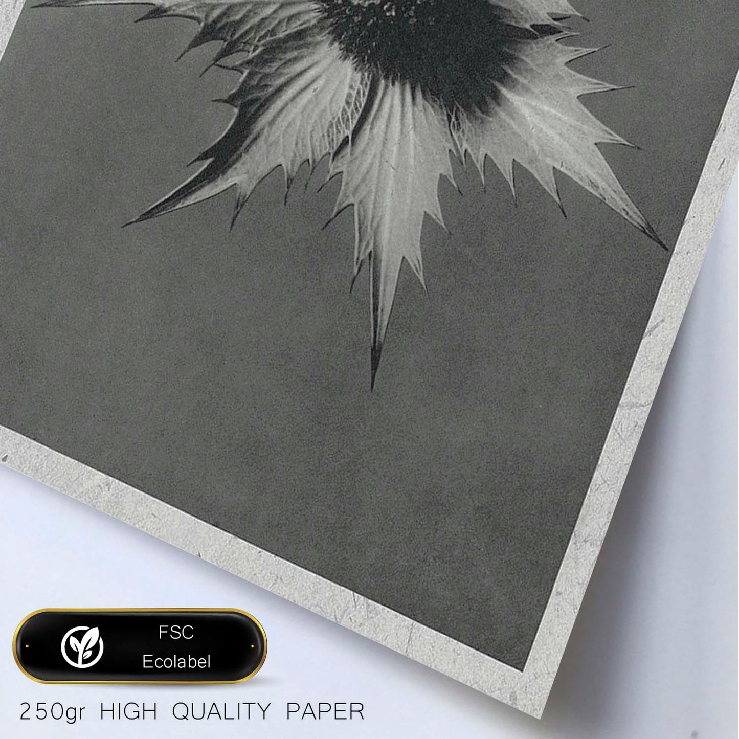 Lámina Planta blanco y negro 21. Pósters con ilustraciones de flores y plantas en tonos grises.-Artwork-Nacnic-Nacnic Estudio SL