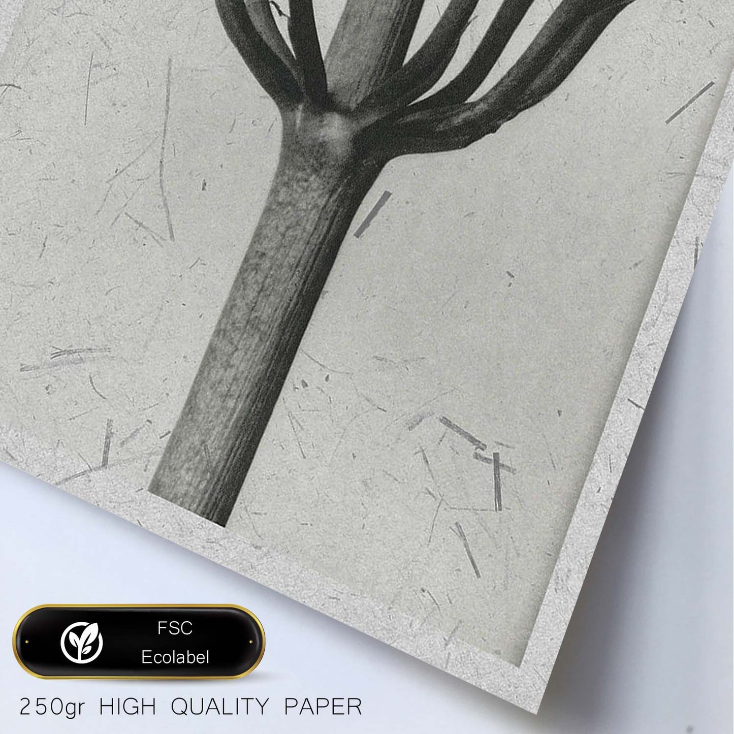 Lámina Planta blanco y negro 24. Pósters con ilustraciones de flores y plantas en tonos grises.-Artwork-Nacnic-Nacnic Estudio SL