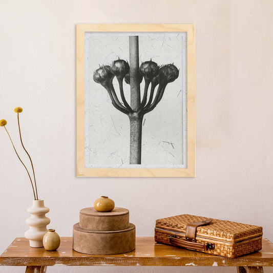 Lámina Planta blanco y negro 24. Pósters con ilustraciones de flores y plantas en tonos grises.-Artwork-Nacnic-Nacnic Estudio SL