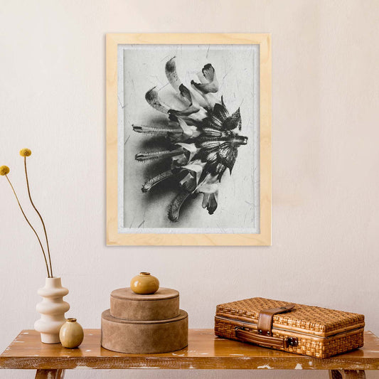 Lámina Planta blanco y negro 27. Pósters con ilustraciones de flores y plantas en tonos grises.-Artwork-Nacnic-Nacnic Estudio SL