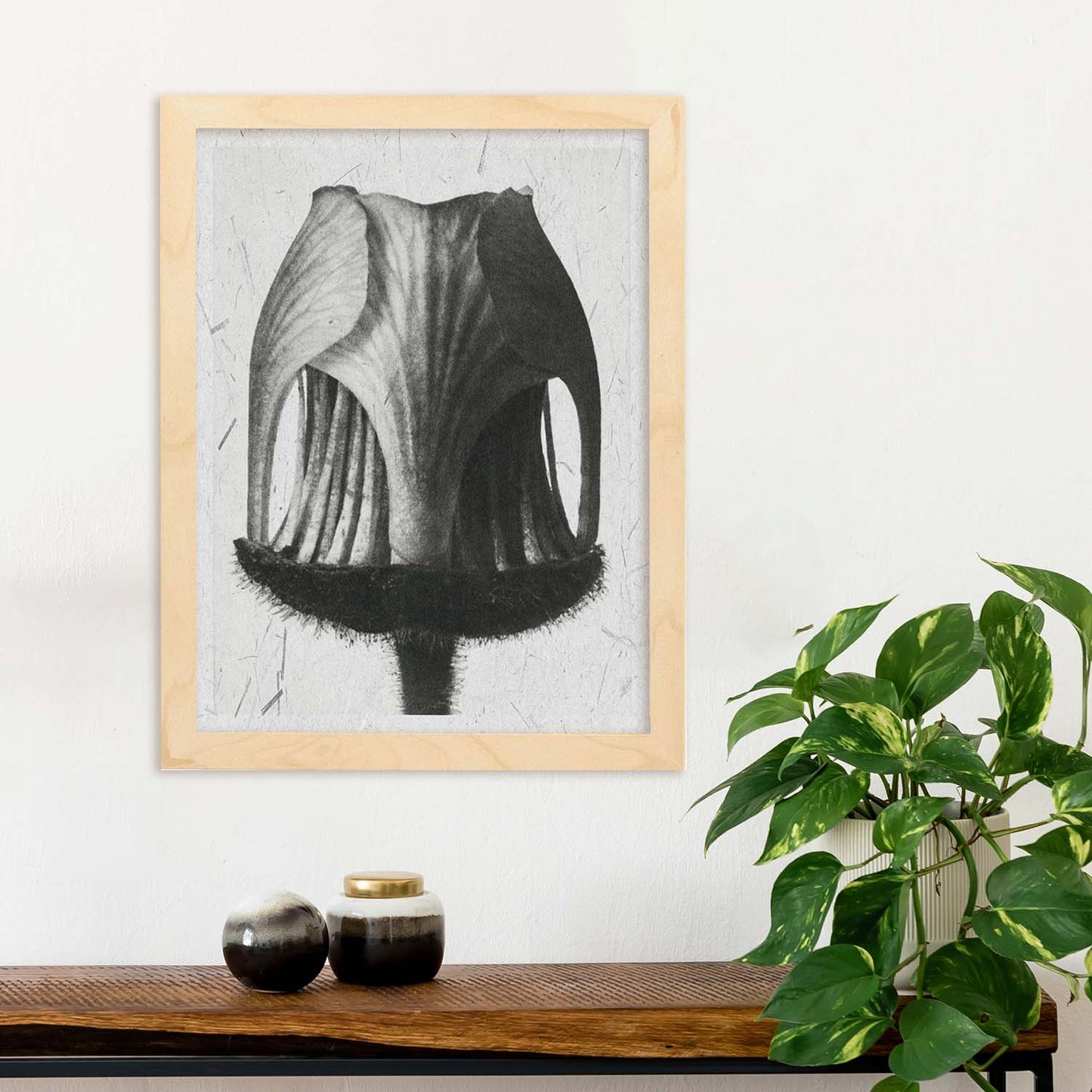 Lámina Planta blanco y negro 29. Pósters con ilustraciones de flores y plantas en tonos grises.-Artwork-Nacnic-Nacnic Estudio SL
