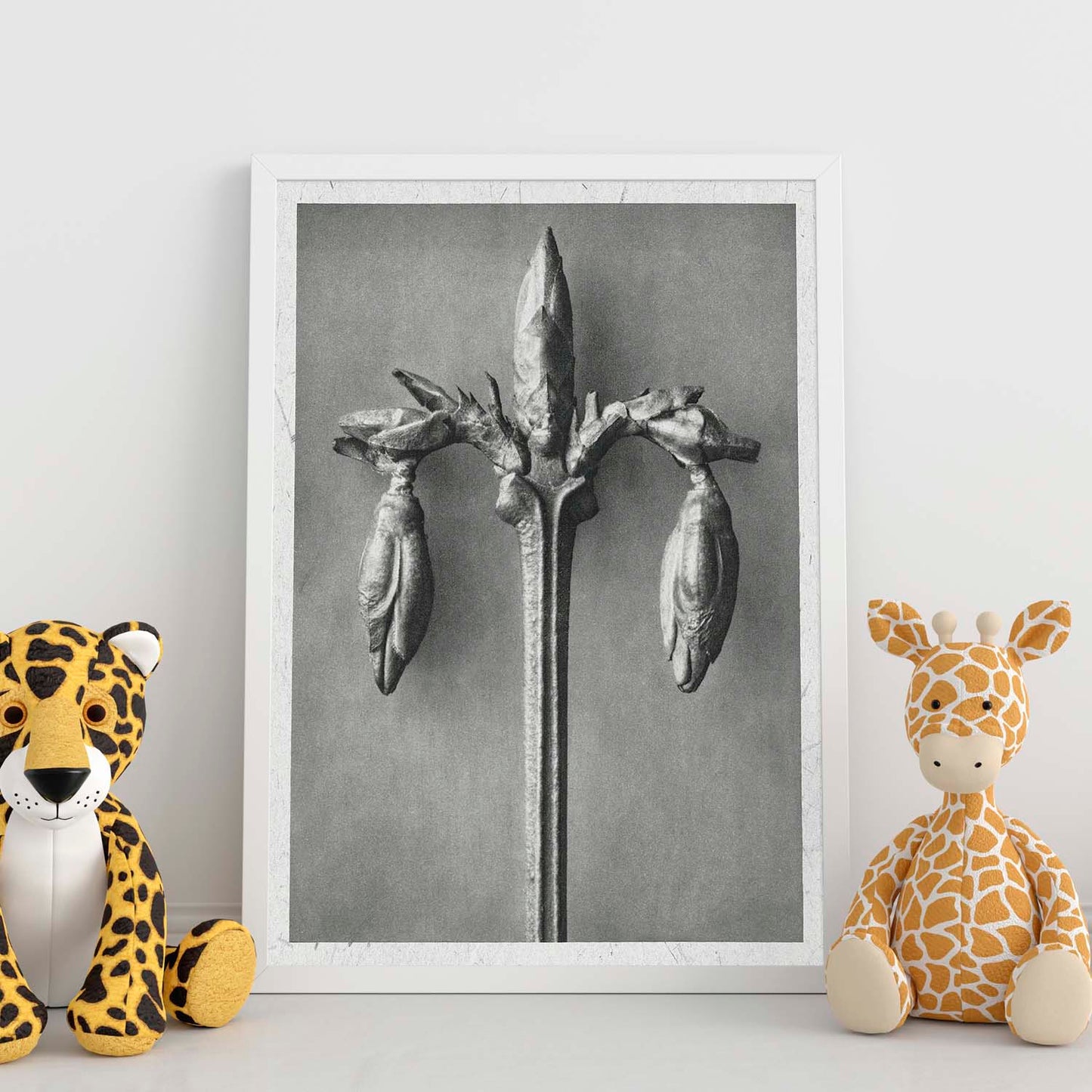 Lámina Planta blanco y negro 30. Pósters con ilustraciones de flores y plantas en tonos grises.-Artwork-Nacnic-Nacnic Estudio SL