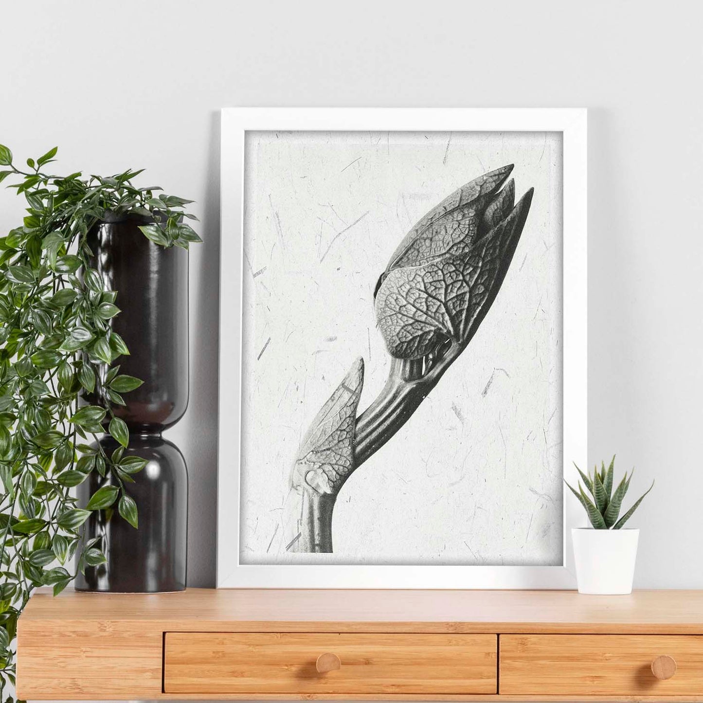 Lámina Planta blanco y negro 31. Pósters con ilustraciones de flores y plantas en tonos grises.-Artwork-Nacnic-Nacnic Estudio SL