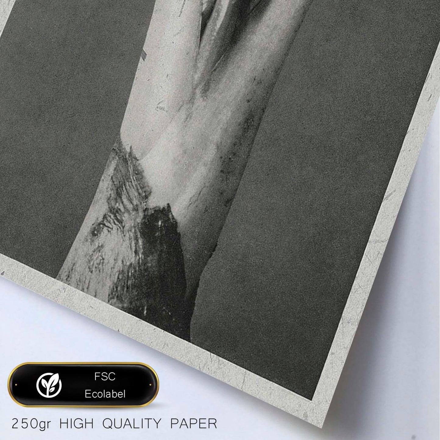Lámina Planta blanco y negro 35. Pósters con ilustraciones de flores y plantas en tonos grises.-Artwork-Nacnic-Nacnic Estudio SL