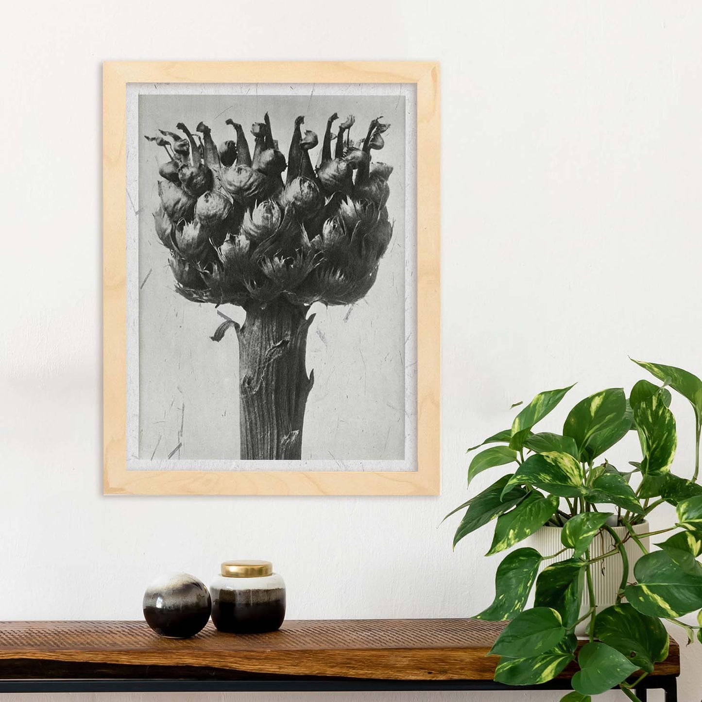 Lámina Planta blanco y negro 37. Pósters con ilustraciones de flores y plantas en tonos grises.-Artwork-Nacnic-Nacnic Estudio SL