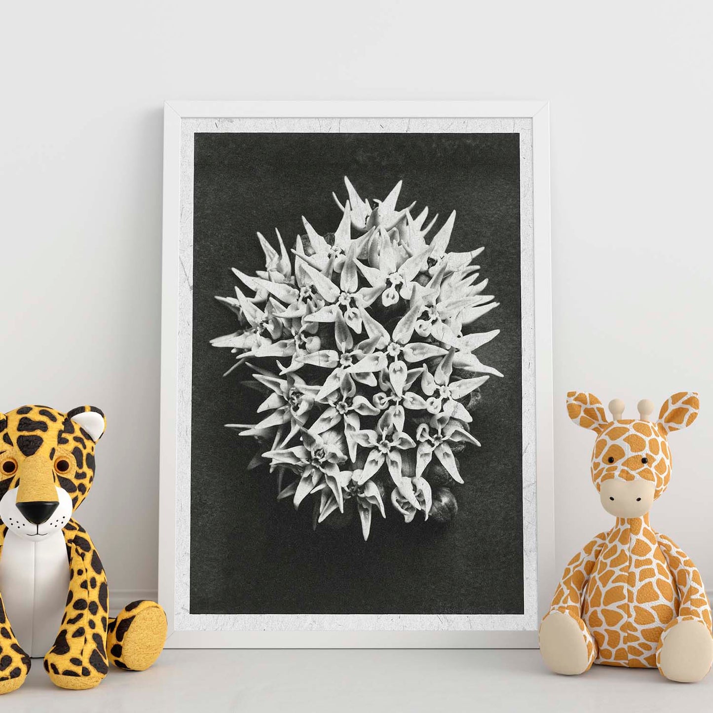 Lámina Planta blanco y negro 38. Pósters con ilustraciones de flores y plantas en tonos grises.-Artwork-Nacnic-Nacnic Estudio SL
