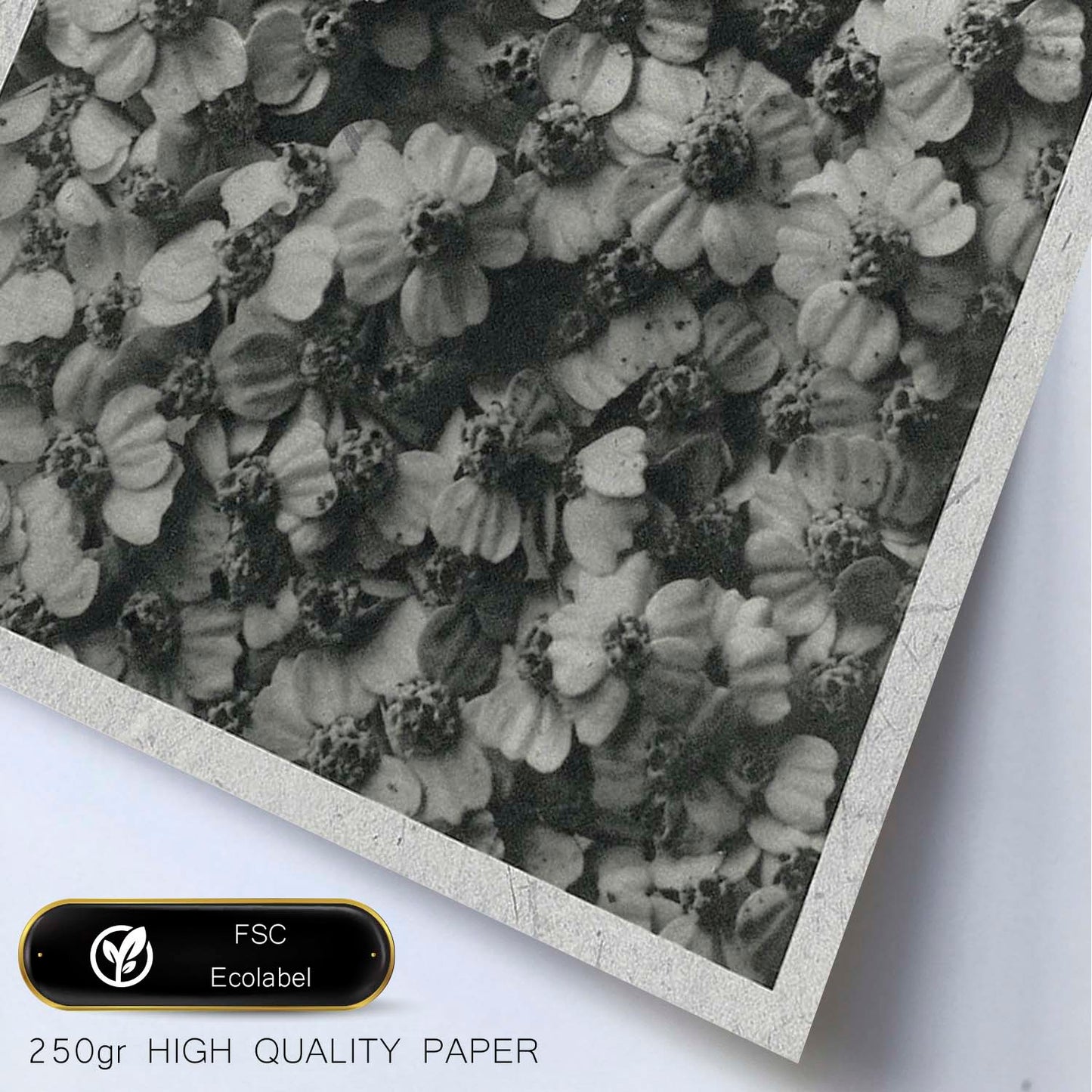 Lámina Planta blanco y negro 40. Pósters con ilustraciones de flores y plantas en tonos grises.-Artwork-Nacnic-Nacnic Estudio SL