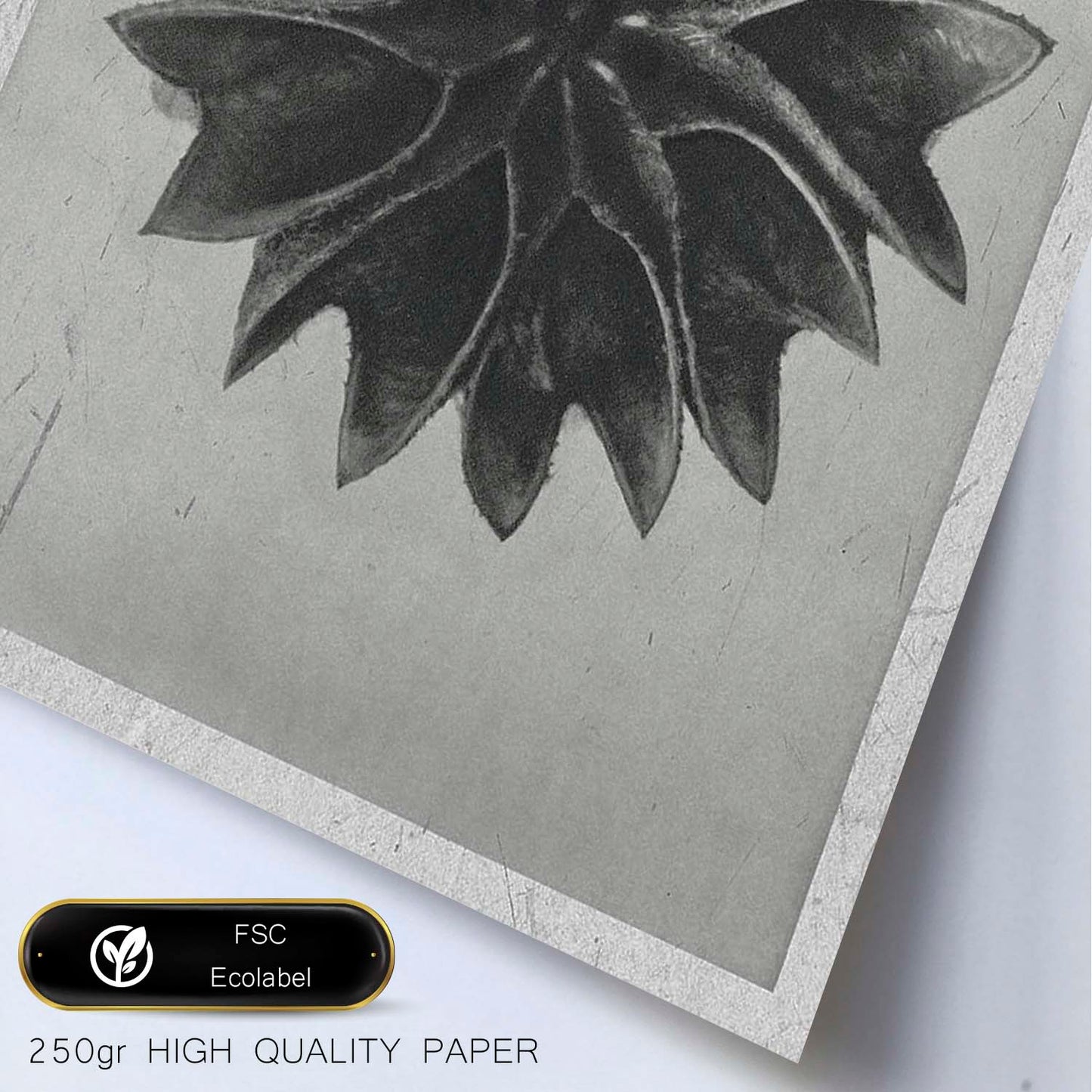Lámina Planta blanco y negro 47. Pósters con ilustraciones de flores y plantas en tonos grises.-Artwork-Nacnic-Nacnic Estudio SL