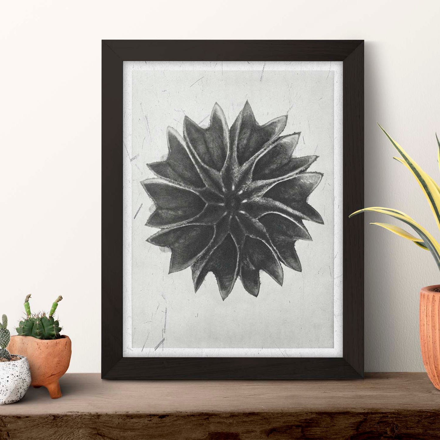 Lámina Planta blanco y negro 47. Pósters con ilustraciones de flores y plantas en tonos grises.-Artwork-Nacnic-Nacnic Estudio SL