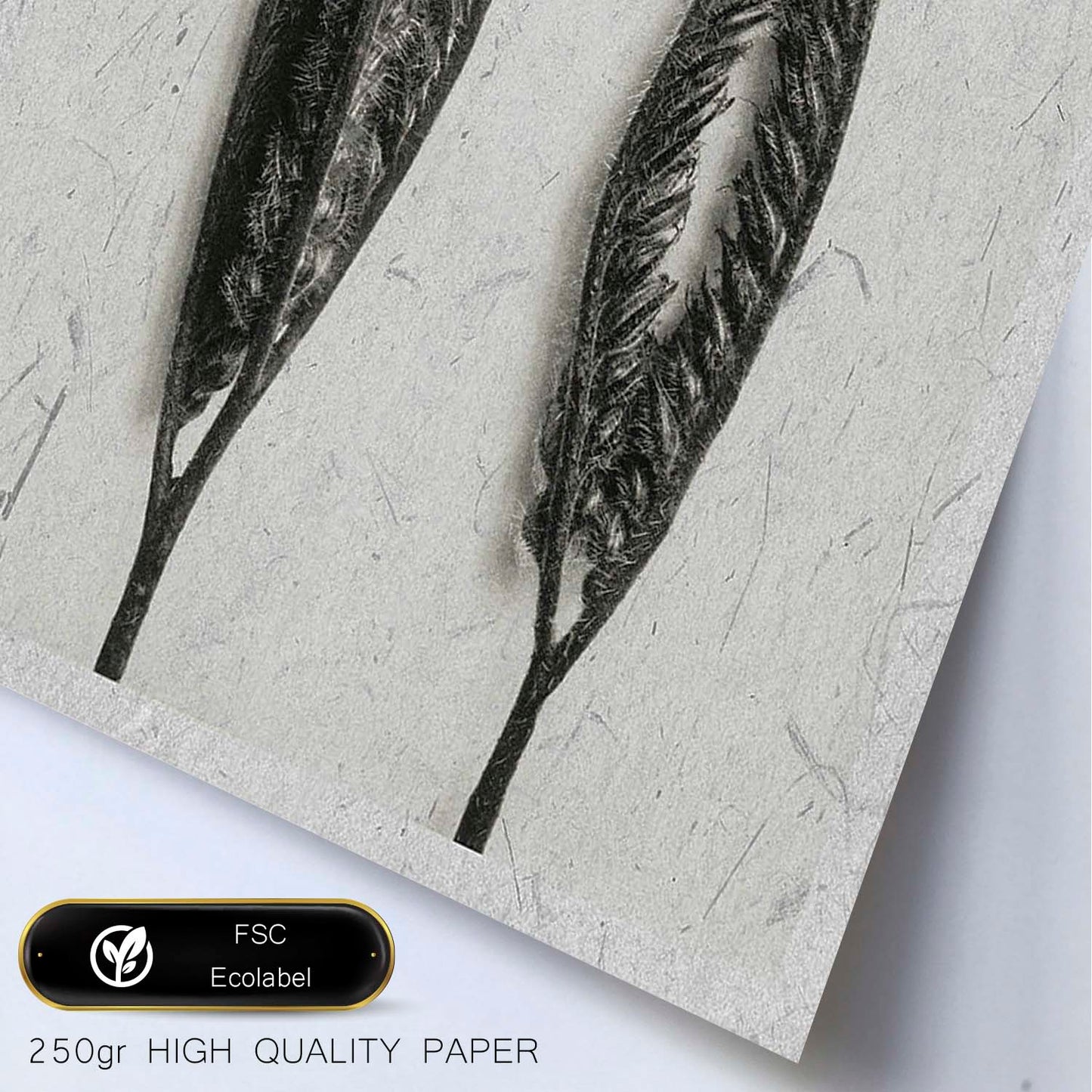Lámina Planta blanco y negro 48. Pósters con ilustraciones de flores y plantas en tonos grises.-Artwork-Nacnic-Nacnic Estudio SL