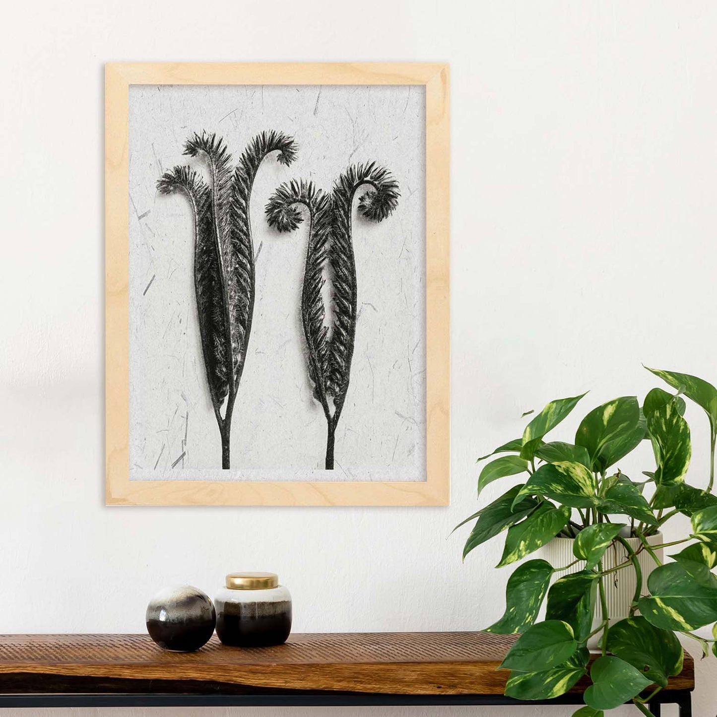 Lámina Planta blanco y negro 48. Pósters con ilustraciones de flores y plantas en tonos grises.-Artwork-Nacnic-Nacnic Estudio SL