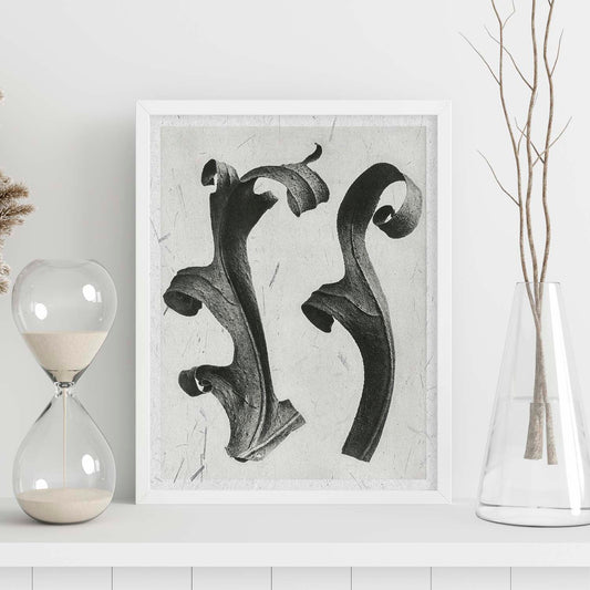 Lámina Planta blanco y negro 51. Pósters con ilustraciones de flores y plantas en tonos grises.-Artwork-Nacnic-Nacnic Estudio SL