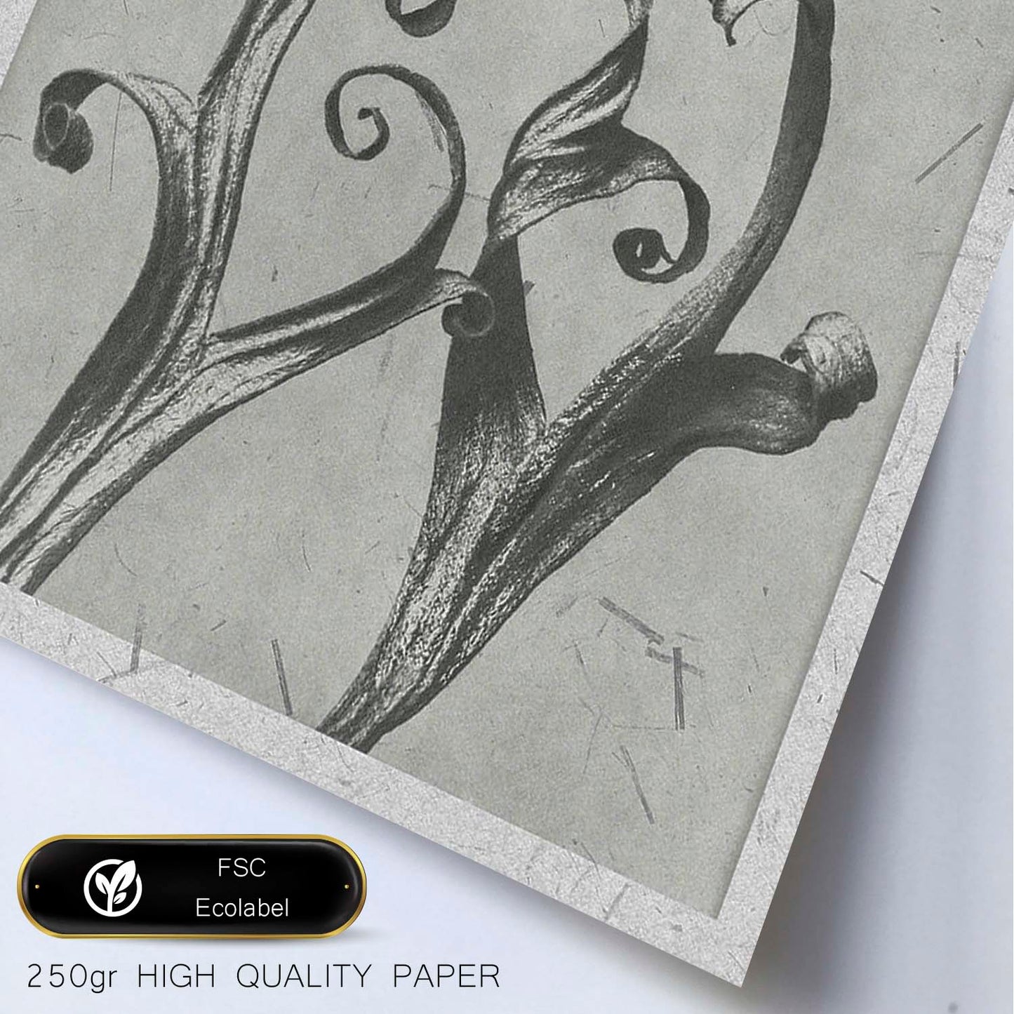 Lámina Planta blanco y negro 56. Pósters con ilustraciones de flores y plantas en tonos grises.-Artwork-Nacnic-Nacnic Estudio SL
