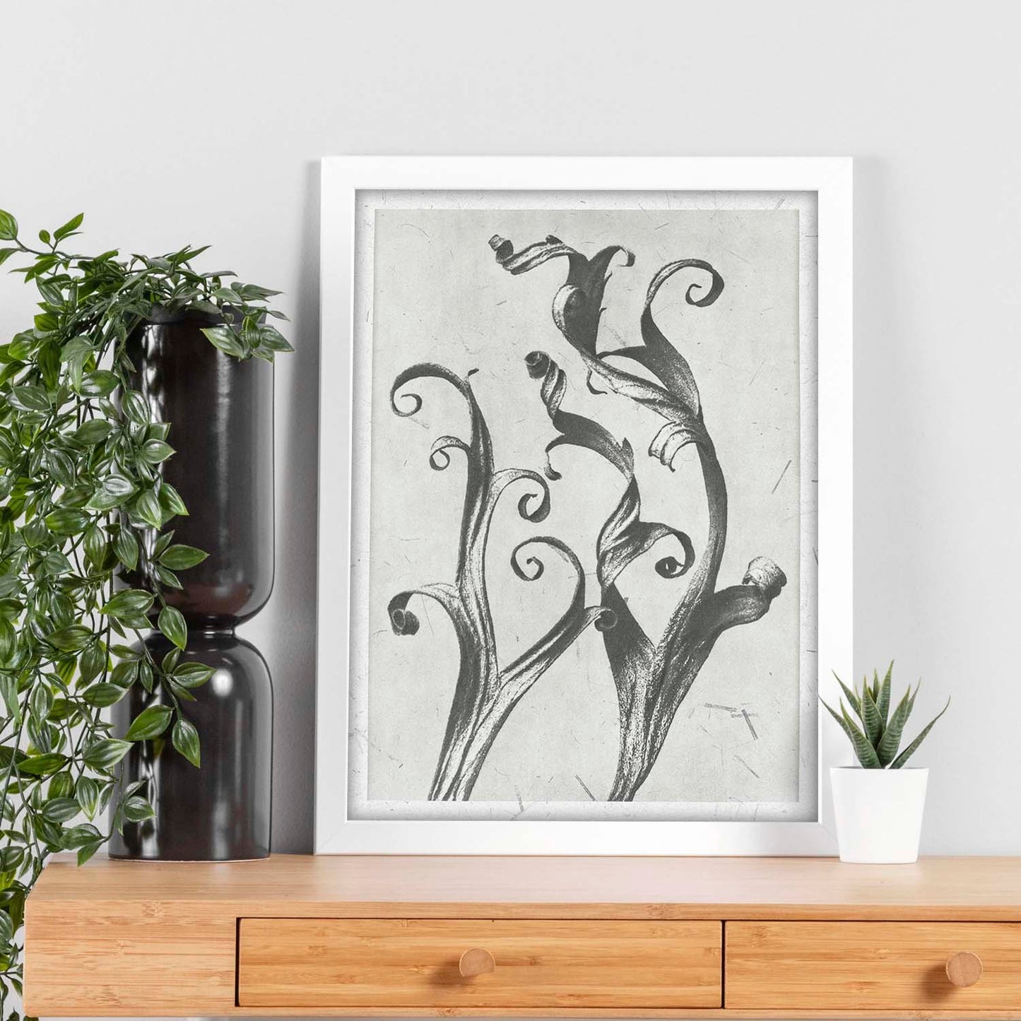 Lámina Planta blanco y negro 56. Pósters con ilustraciones de flores y plantas en tonos grises.-Artwork-Nacnic-Nacnic Estudio SL