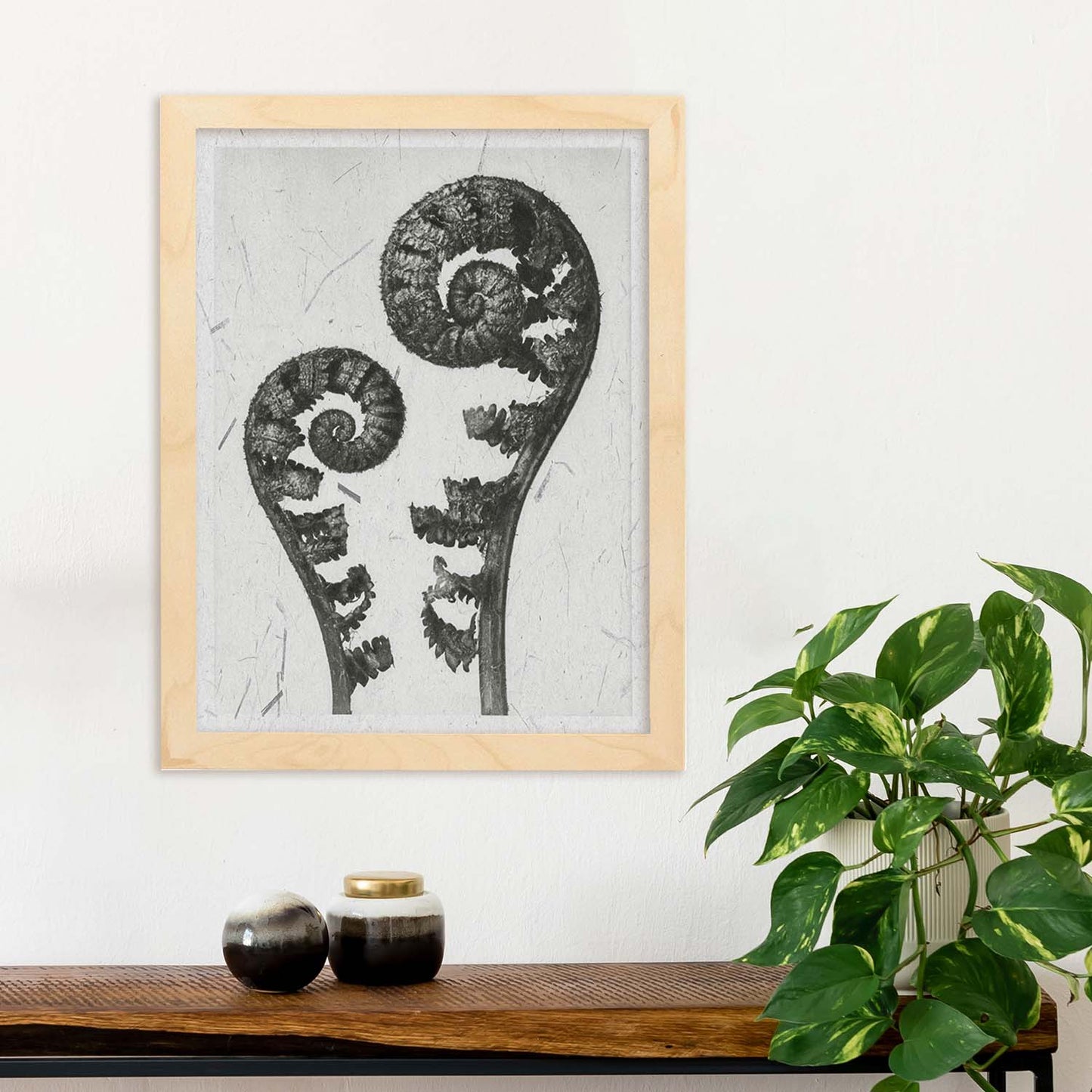 Lámina Planta blanco y negro 57. Pósters con ilustraciones de flores y plantas en tonos grises.-Artwork-Nacnic-Nacnic Estudio SL