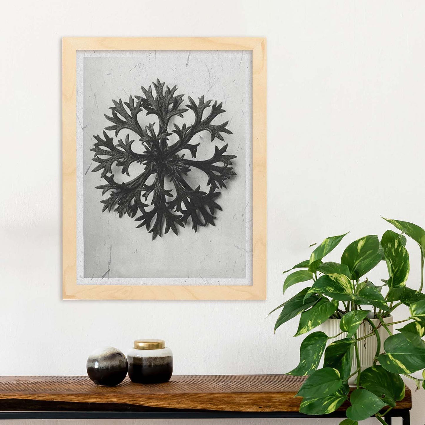Lámina Planta blanco y negro 60. Pósters con ilustraciones de flores y plantas en tonos grises.-Artwork-Nacnic-Nacnic Estudio SL