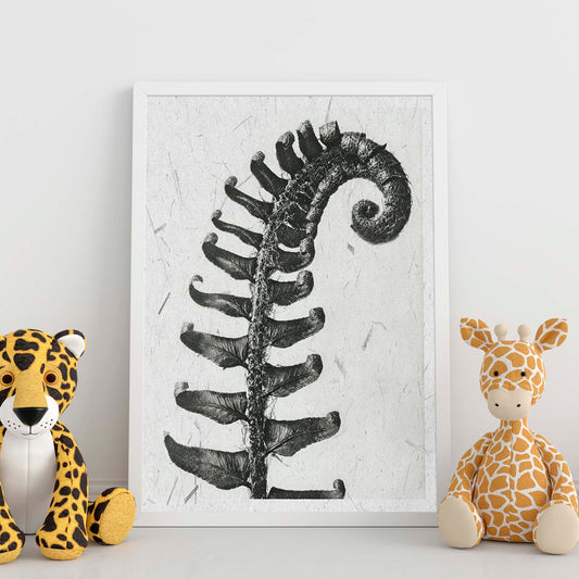 Lámina Planta blanco y negro 61. Pósters con ilustraciones de flores y plantas en tonos grises.-Artwork-Nacnic-Nacnic Estudio SL